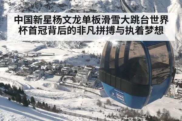 中国新星杨文龙单板滑雪大跳台世界杯首冠背后的非凡拼搏与执着梦想