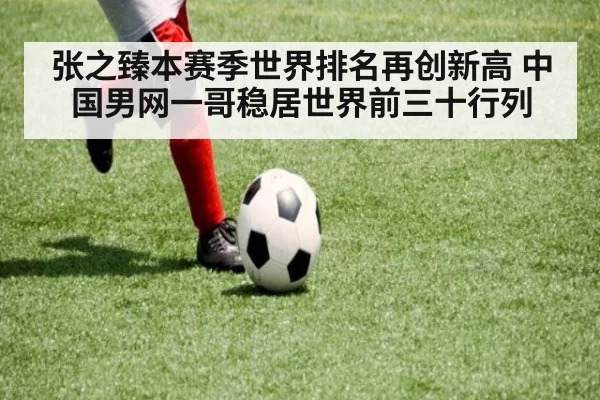张之臻本赛季世界排名再创新高 中国男网一哥稳居世界前三十行列